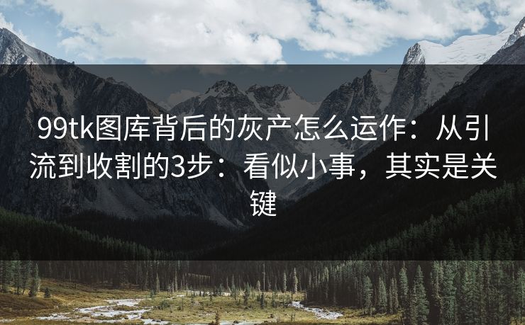 99tk图库背后的灰产怎么运作：从引流到收割的3步：看似小事，其实是关键