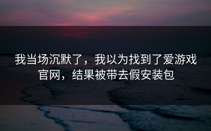 我当场沉默了，我以为找到了爱游戏官网，结果被带去假安装包